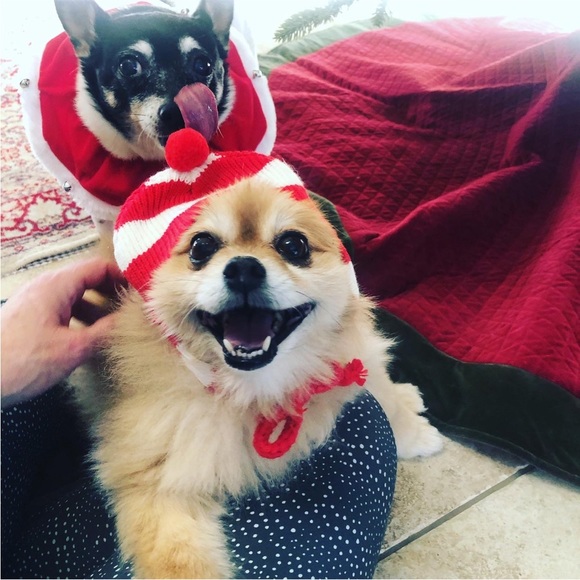 Meet your Posher, Laura - Picture 5 of 8